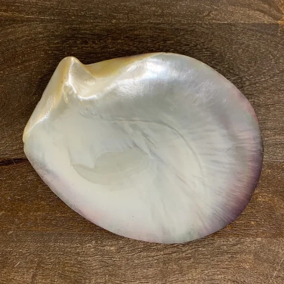 Anthropologie Style Pearlescent Capiz Seashell Decorative Trinket Dish - Picture 2 of 5